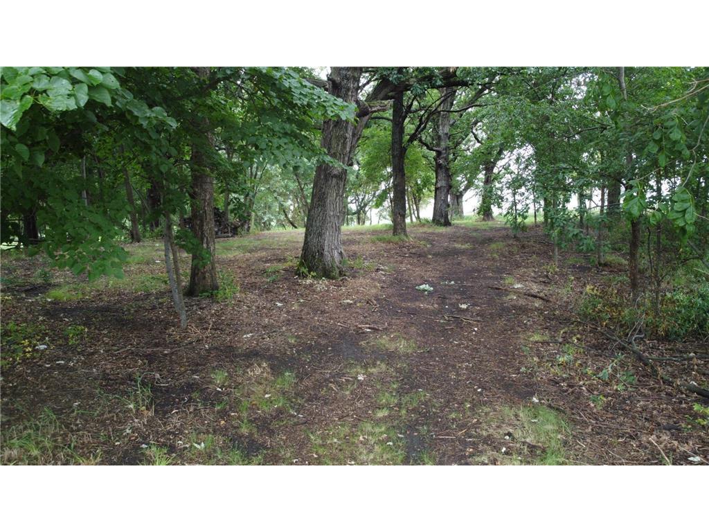 Lots 1 & 2 Mary Lane NW Millerville Twp MN 56315 - Moses 7015668 image4