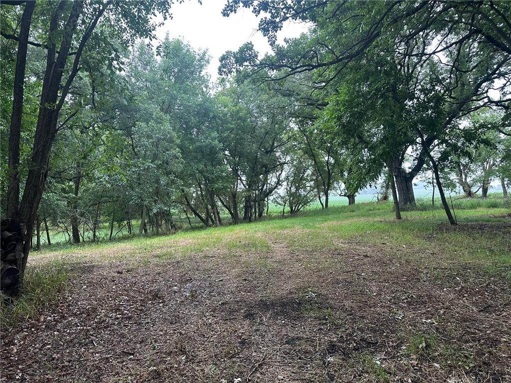 Lots 1 & 2 Mary Lane NW Millerville Twp MN 56315 - Moses 7015668 image5