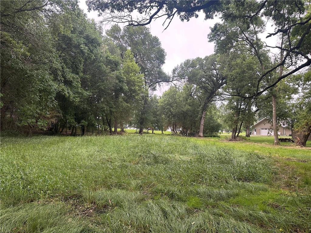 Lots 1 & 2 Mary Lane NW Millerville Twp MN 56315 - Moses 7015668 image7