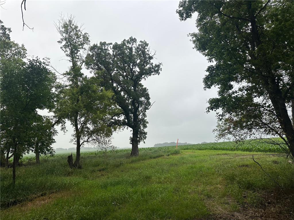 Lots 1 & 2 Mary Lane NW Millerville Twp MN 56315 - Moses 7015668 image8