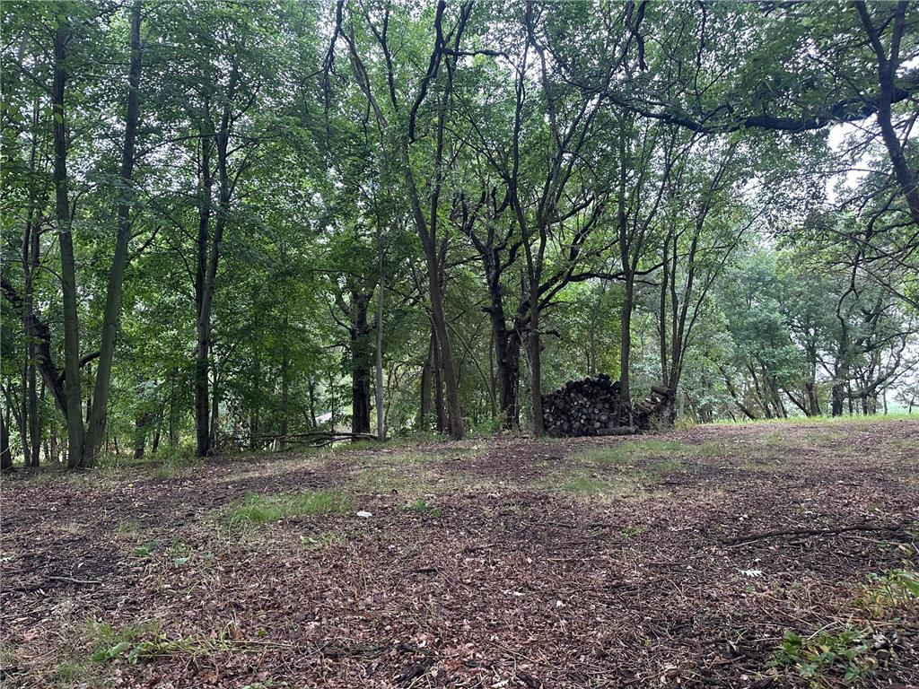 Lots 1 & 2 Mary Lane NW Millerville Twp MN 56315 - Moses 7015668 image9