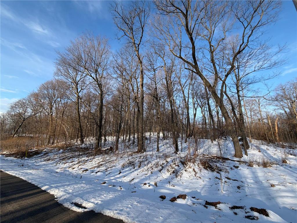 Lots 120 & 121 Earle Brown Drive Kathio Twp MN 56450 - Mille Lacs Lake 7033620 image3