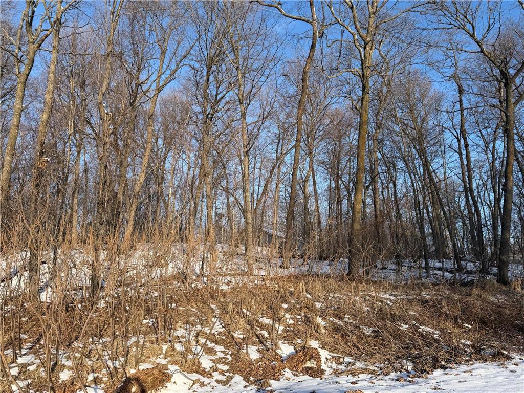 Lots 120 & 121 Earle Brown Drive Kathio Twp MN 56450 - Mille Lacs Lake 7033620 image4