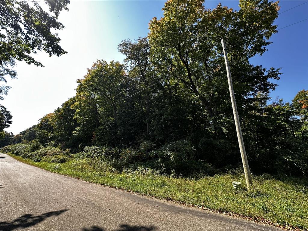 Lots 120 & 121 Earle Brown Drive Kathio Twp MN 56450 - Mille Lacs Lake 7033620 image6