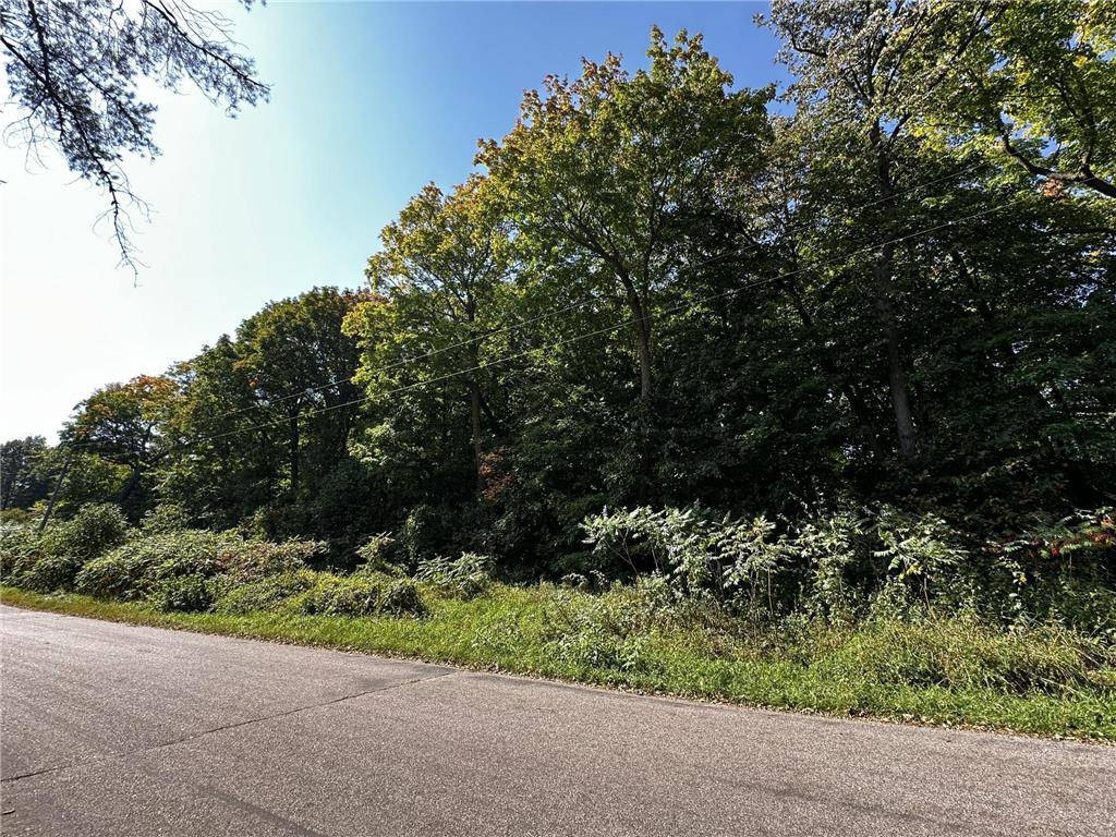 Lots 120 & 121 Earle Brown Drive Kathio Twp MN 56450 - Mille Lacs Lake 7033620 image8