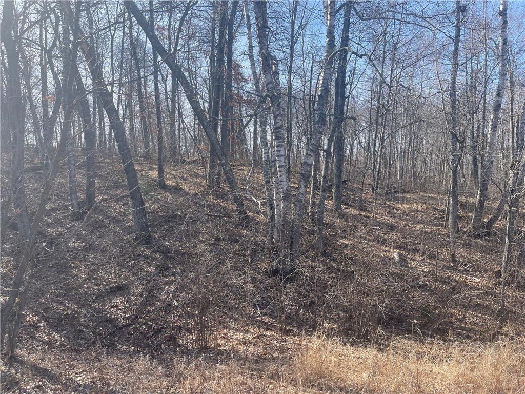 Lots 129-131 Ski Chalet Drive Breezy Point MN 56472 6685314 image11