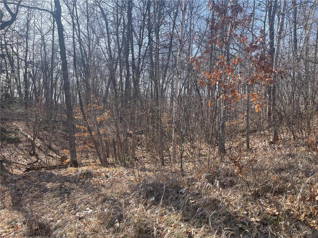 Lots 129-131 Ski Chalet Drive Breezy Point MN 56472 6685314 image13