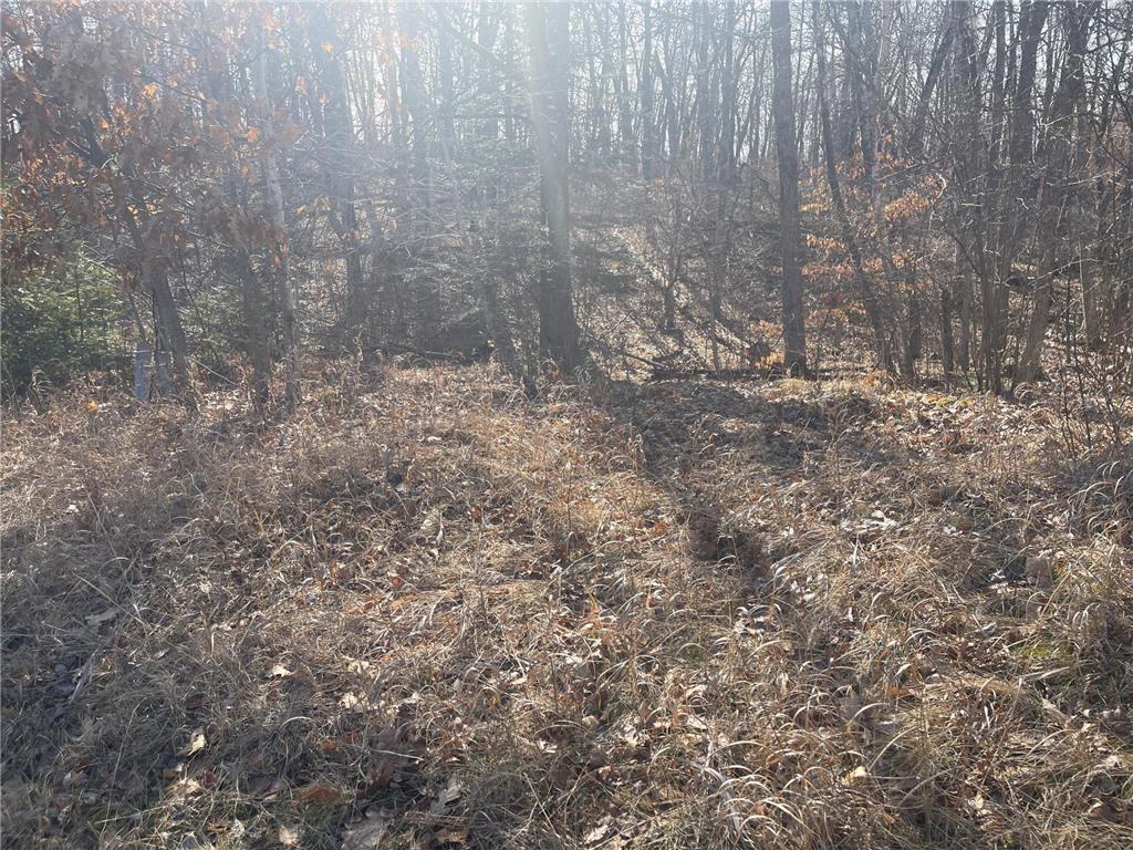 Lots 129-131 Ski Chalet Drive Breezy Point MN 56472 6685314 image14