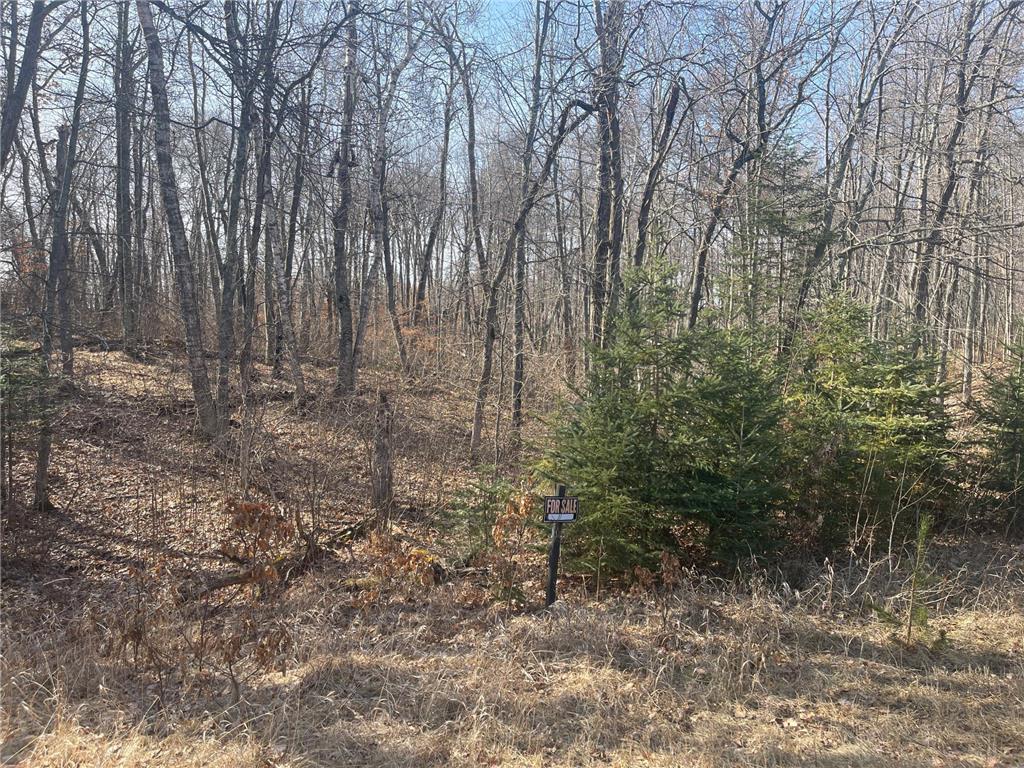 Lots 129-131 Ski Chalet Drive Breezy Point MN 56472 6685314 image3