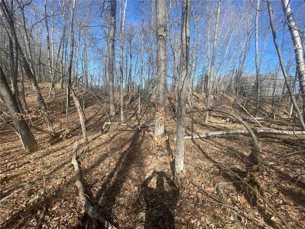 Lots 129-131 Ski Chalet Drive Breezy Point MN 56472 6685314 image5