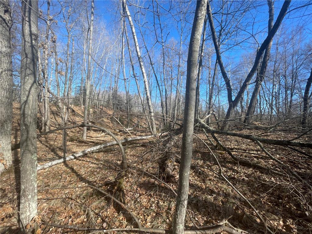 Lots 129-131 Ski Chalet Drive Breezy Point MN 56472 6685314 image6