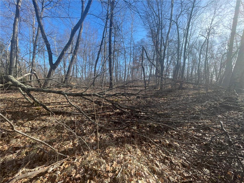 Lots 129-131 Ski Chalet Drive Breezy Point MN 56472 6685314 image7