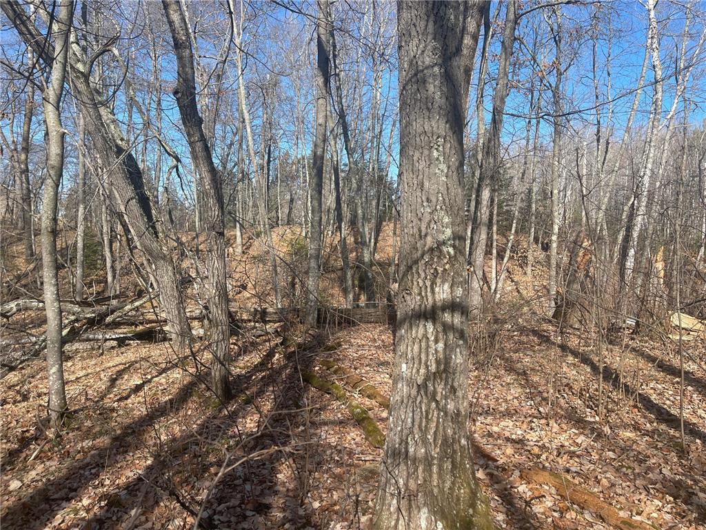 Lots 129-131 Ski Chalet Drive Breezy Point MN 56472 6685314 image8