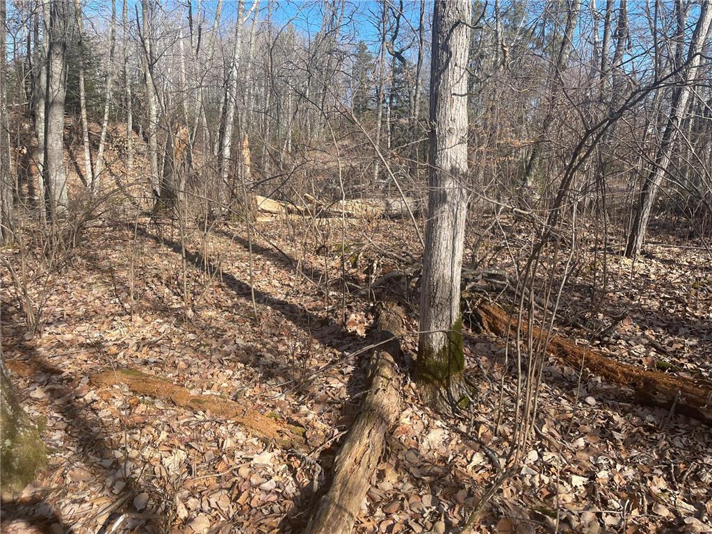 Lots 129-131 Ski Chalet Drive Breezy Point MN 56472 6685314 image9