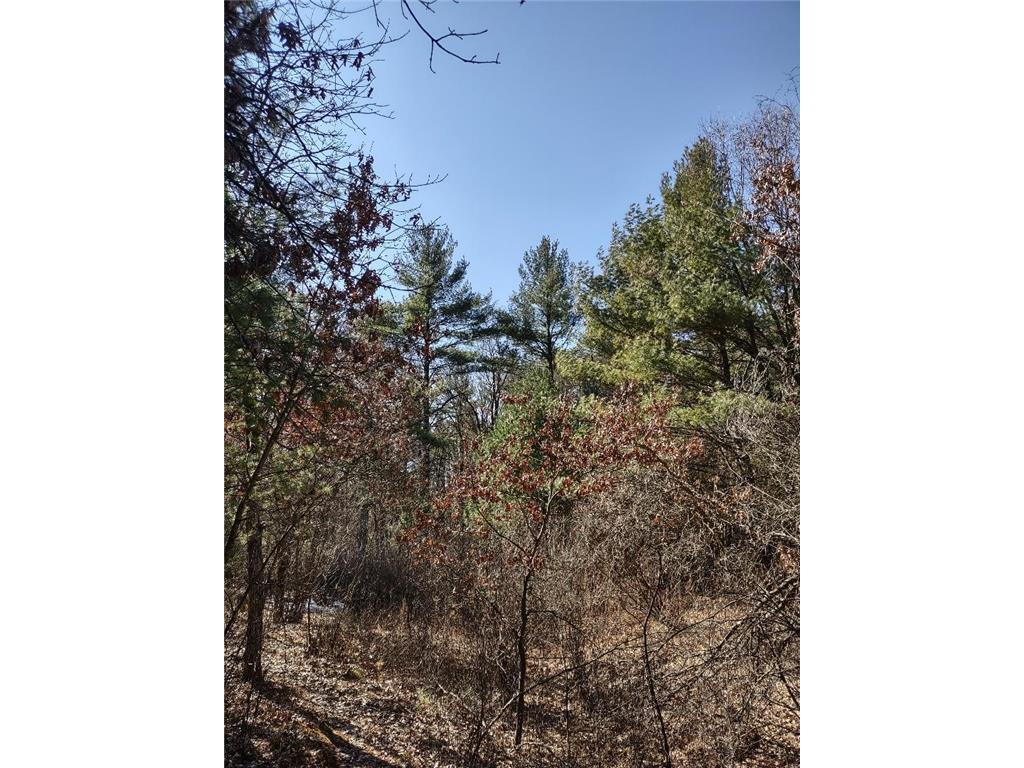 Lots 18 & 19 Whitetail Court Black River Falls WI 54615 6685176 image1