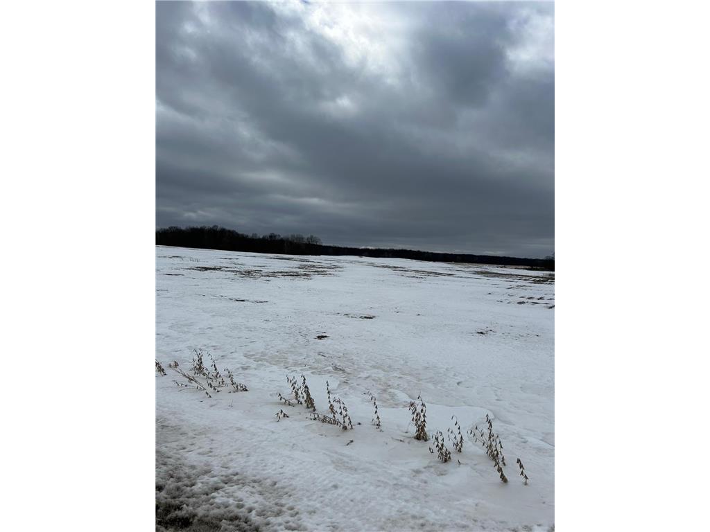 Lots 2 & 3 Cty Rd B Woodville WI 54028 7019756 image1