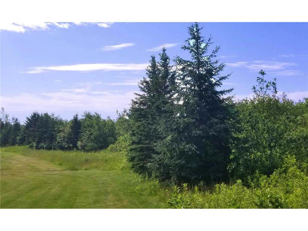 Lots 3 4 5 Highway W Frederic WI 54837 4810052 image1