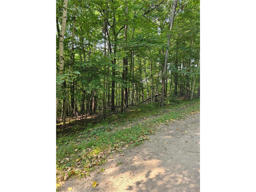 Lots 41-43 Catskill Drive Breezy Point MN 56472 6605930 image2