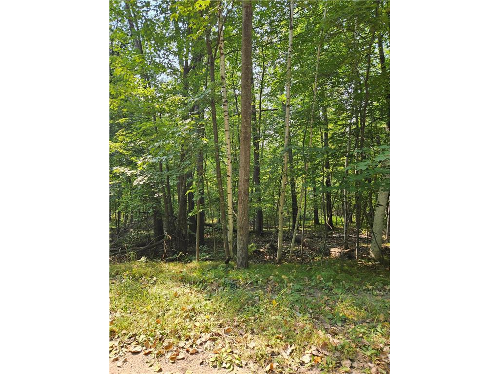 Lots 41-43 Catskill Drive Breezy Point MN 56472 6605930 image3