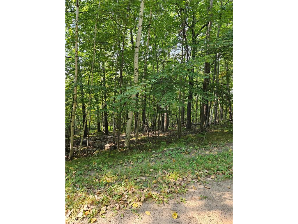 Lots 41-43 Catskill Drive Breezy Point MN 56472 6605930 image4