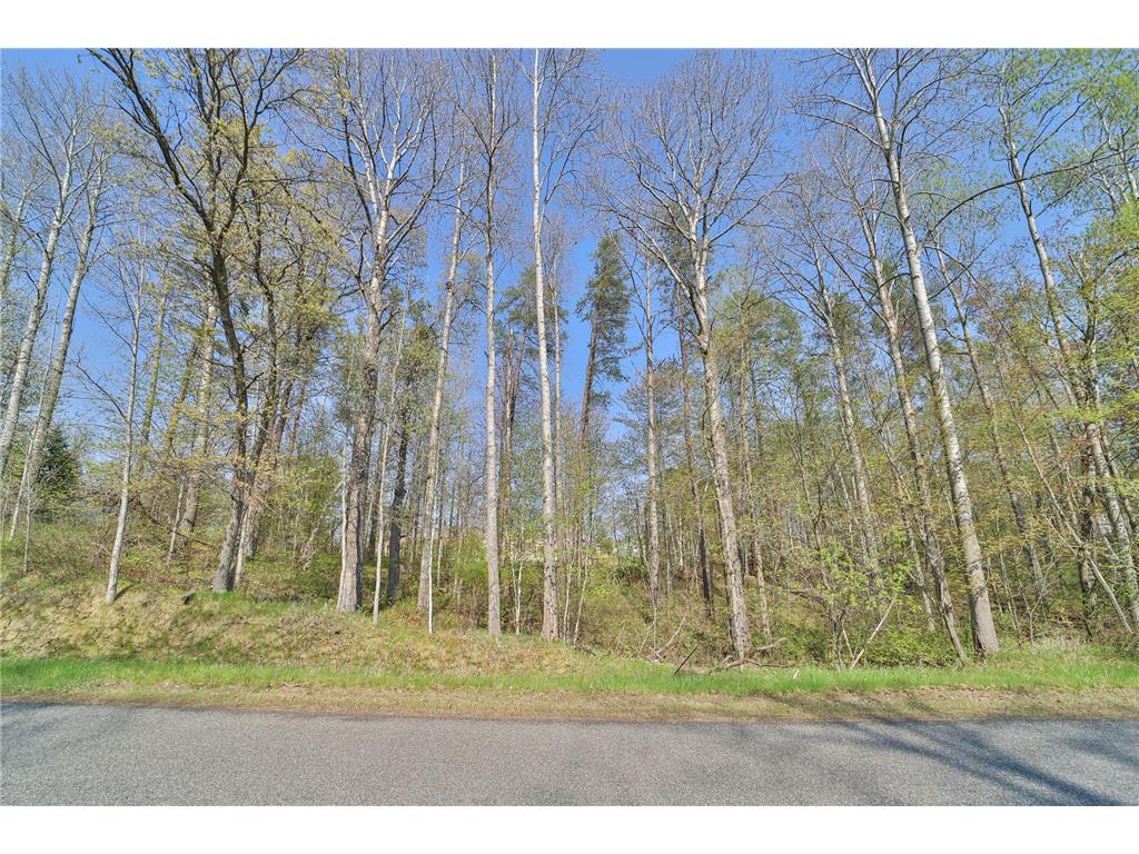 Lots 5 6 7 Terminal Road Breezy Point MN 56472 7039295 image1