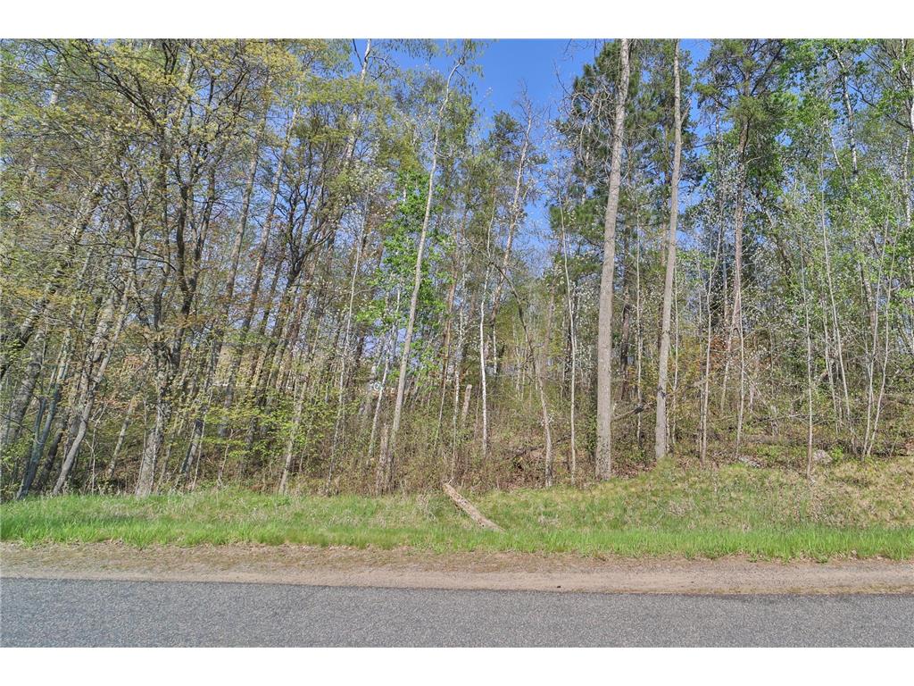 Lots 5 6 7 Terminal Road Breezy Point MN 56472 7039295 image5