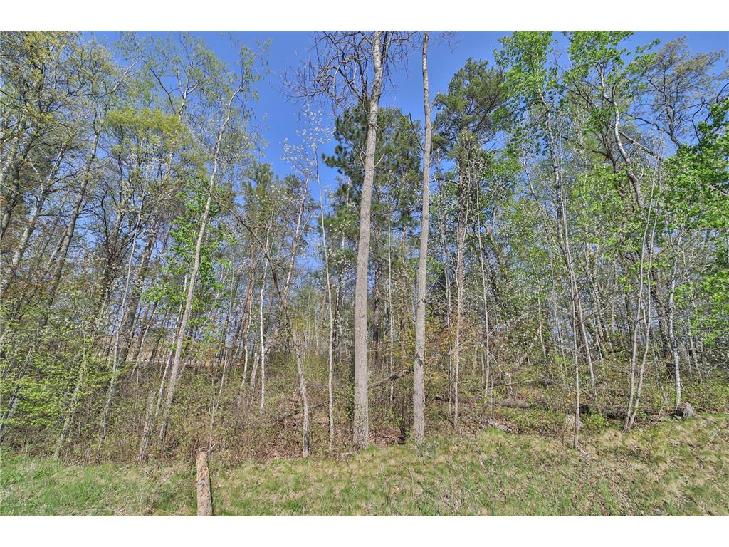 Lots 5 6 7 Terminal Road Breezy Point MN 56472 7039295 image6