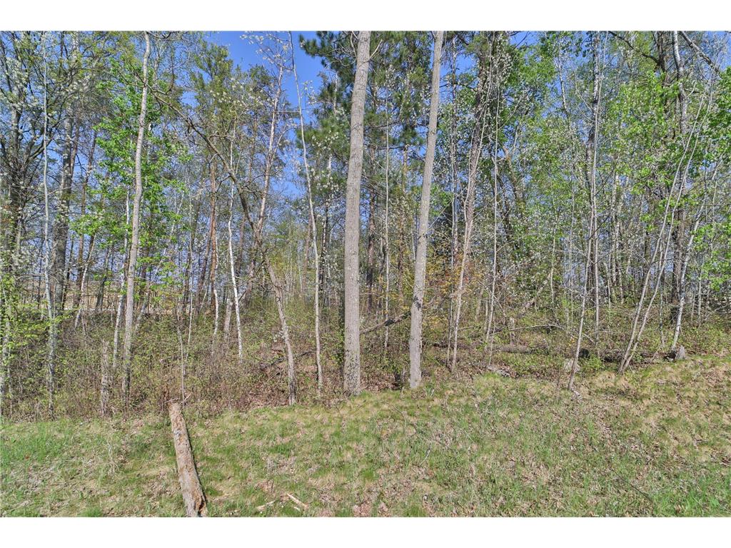 Lots 5 6 7 Terminal Road Breezy Point MN 56472 7039295 image7