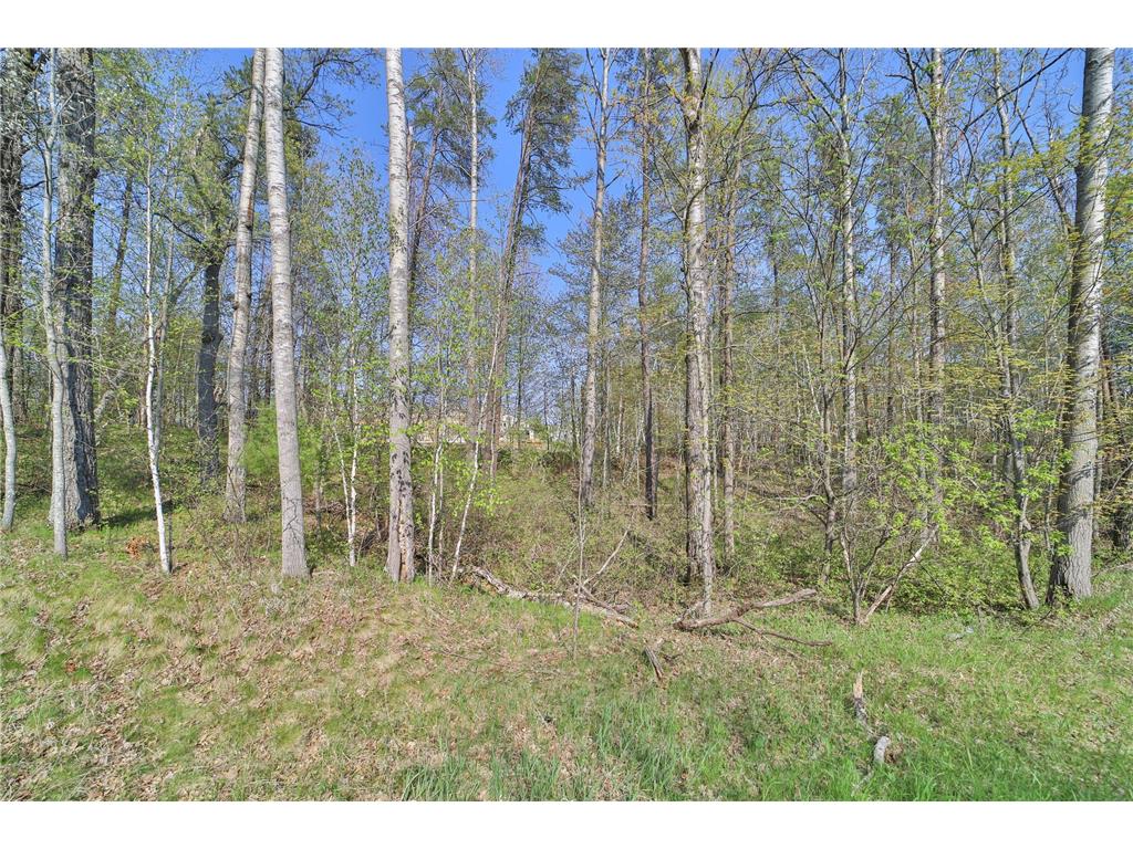 Lots 5 6 7 Terminal Road Breezy Point MN 56472 7039295 image8