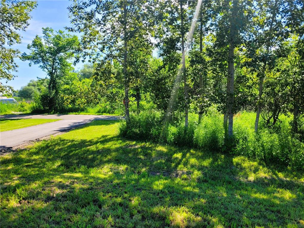 Lots 5 & 6 Branch Creek Road Detroit Lakes MN 56501 - Detroit 6749889 image19