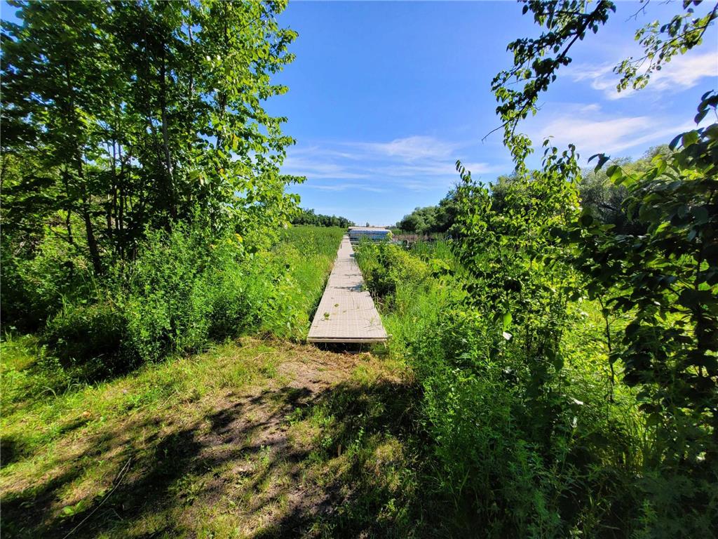 Lots 5 & 6 Branch Creek Road Detroit Lakes MN 56501 - Detroit 7031831 image25