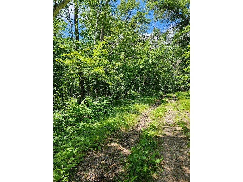 Lots 50-53 Snoquainie Lane Breezy Point MN 56472 6579408 image1