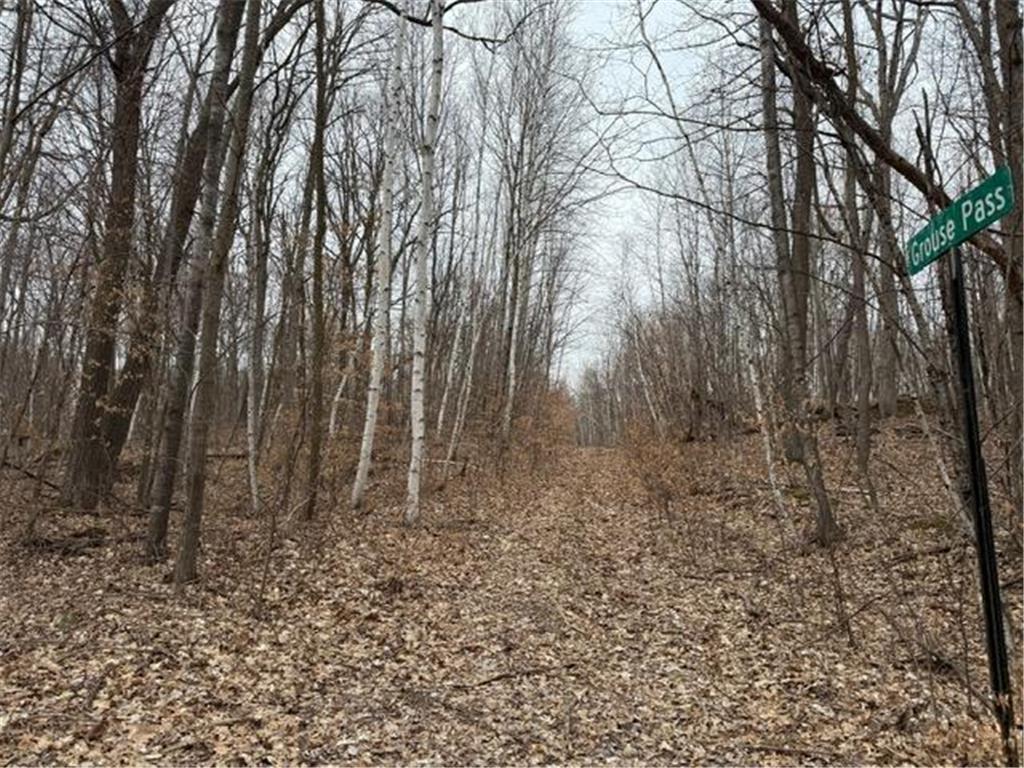 Lots 51-53 55 61 Grouse Pass Randall MN 56475 6702636 image1