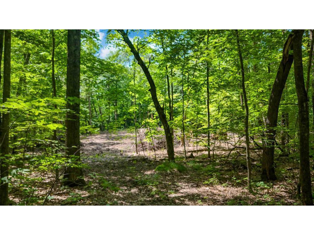 Lots B & C 389th Ave. Nordland Twp MN 56431 - Ripple 7070372 image12
