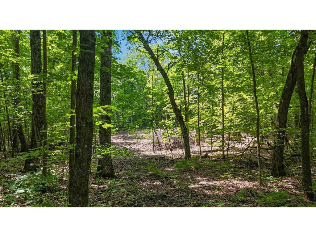 Lots B & C 389th Ave. Nordland Twp MN 56431 - Ripple 7070372 image13