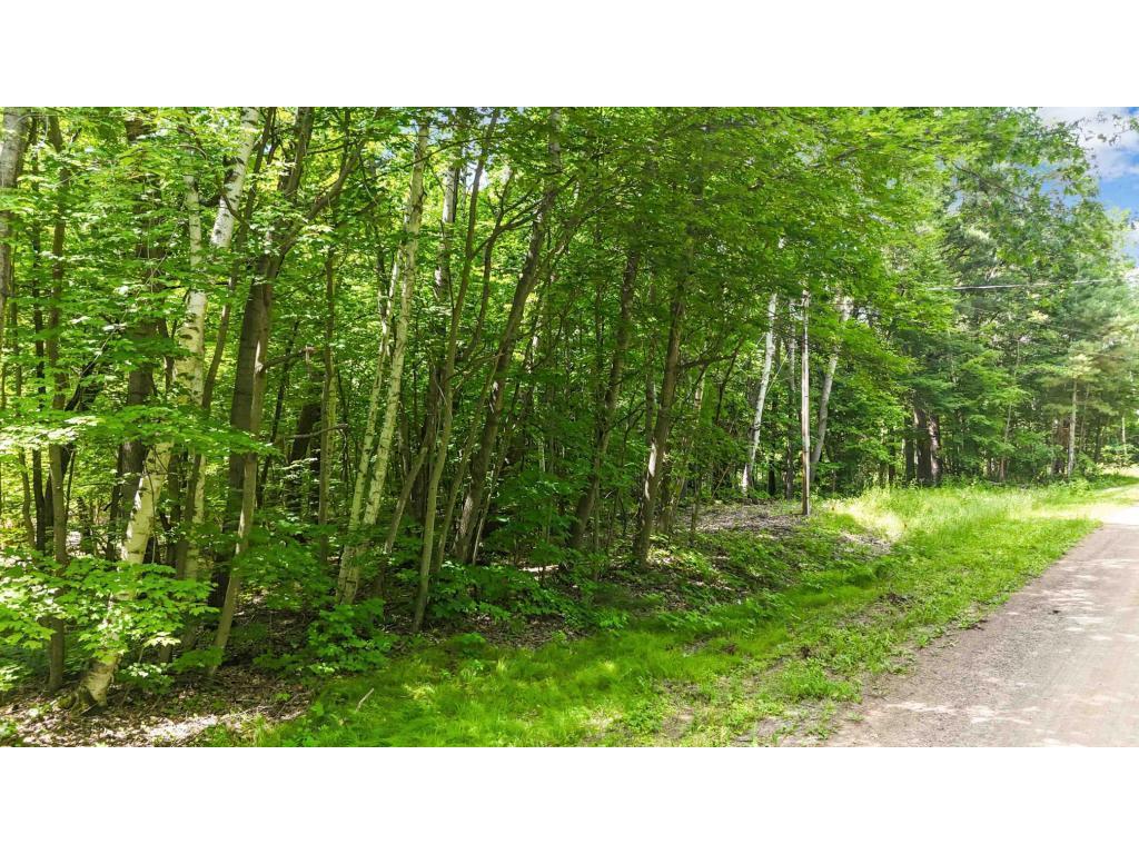 Lots B & C 389th Ave. Nordland Twp MN 56431 - Ripple 7070372 image5