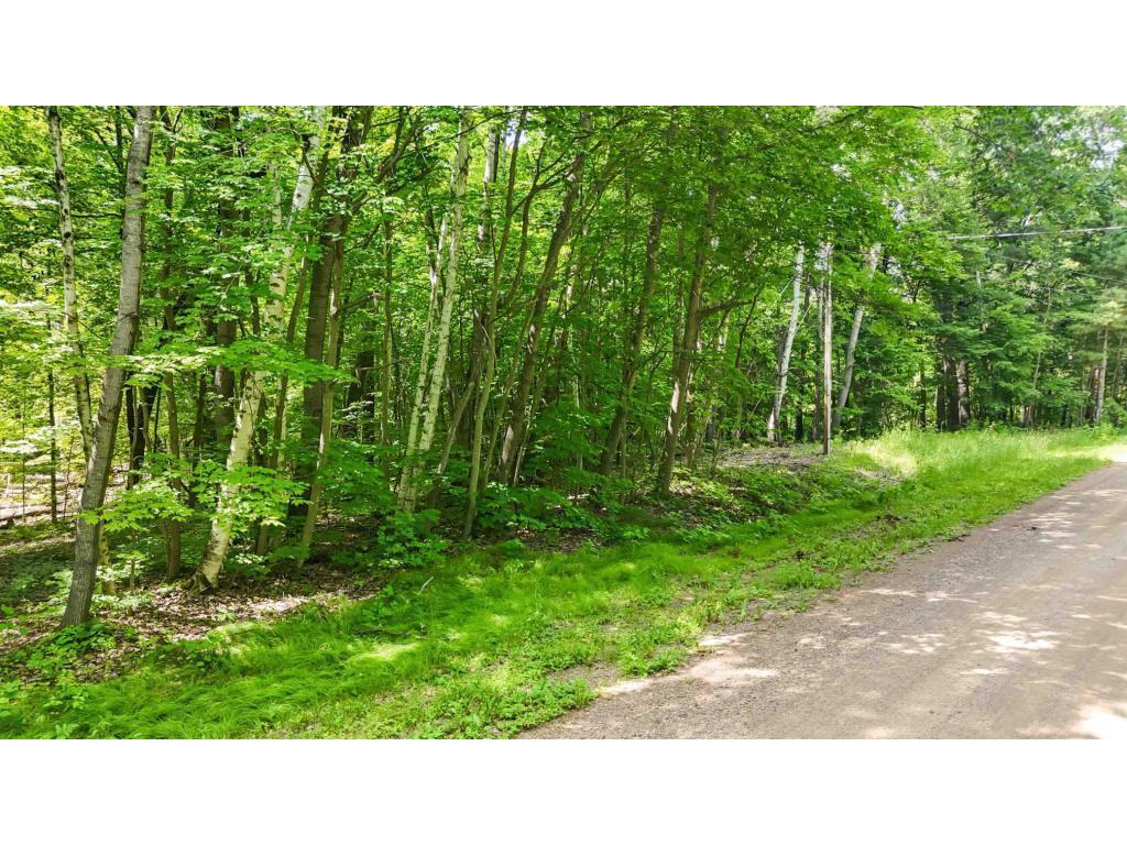 Lots B & C 389th Ave. Nordland Twp MN 56431 - Ripple 7070372 image6
