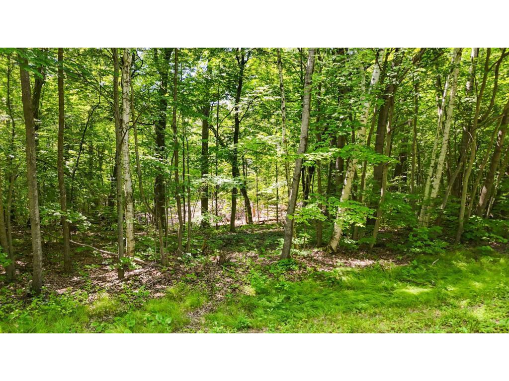 Lots B & C 389th Ave. Nordland Twp MN 56431 - Ripple 7070372 image7