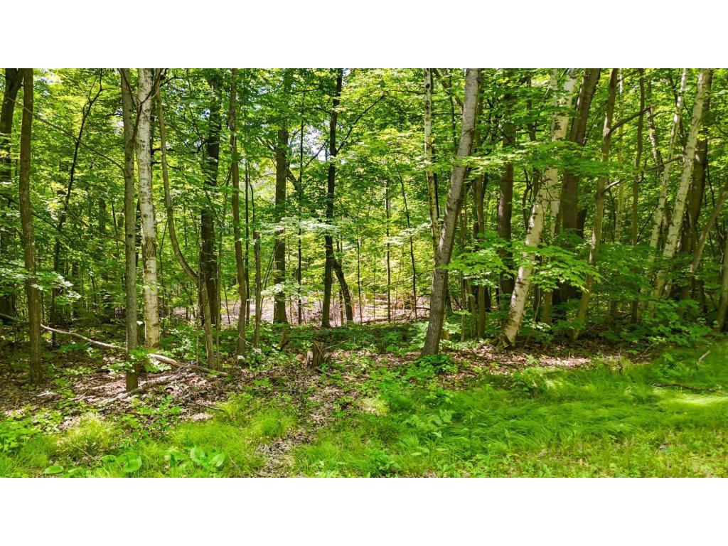 Lots B & C 389th Ave. Nordland Twp MN 56431 - Ripple 7070372 image8
