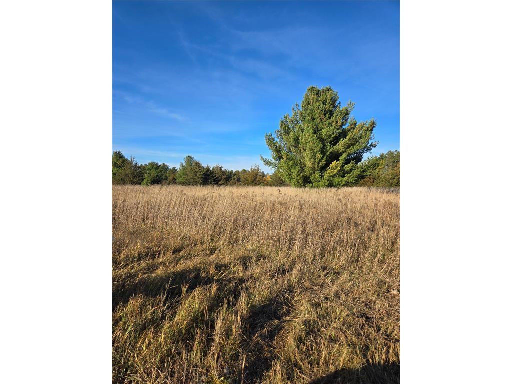 Lots F - G Hoffman Beach Drive Hillman MN 56338 6623164 image1