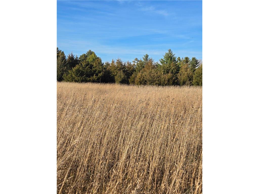 Lots H - I Hoffman Beach Drive Hillman MN 56338 6623123 image1