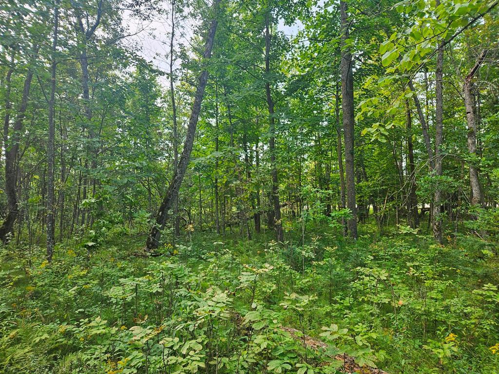 Lt 1 Blk 1 County Rd 238 Deer River MN 56636 - Little Moose Lake 6774203 image12