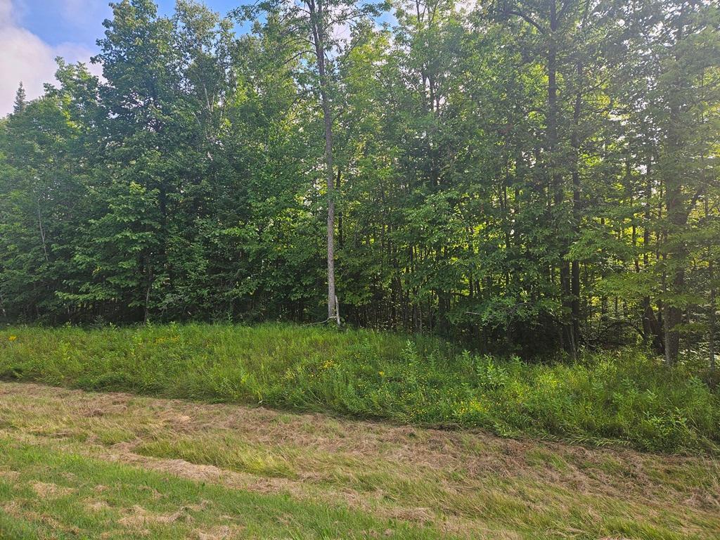 Lt 1 Blk 1 County Rd 238 Deer River MN 56636 - Little Moose Lake 6774203 image2