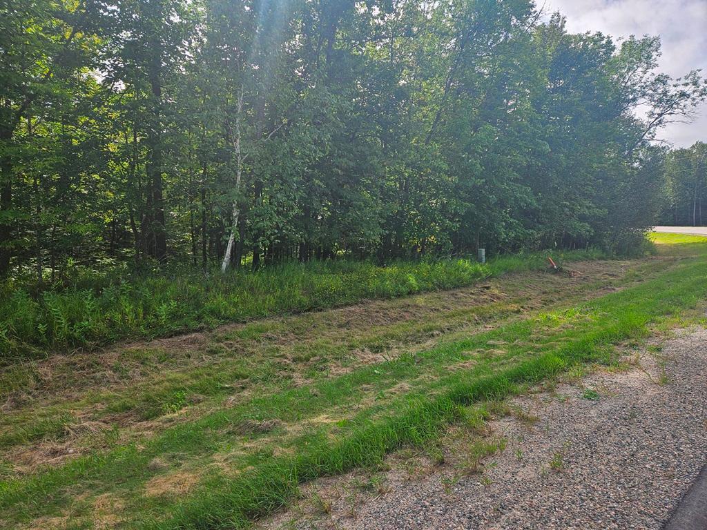 Lt 1 Blk 1 County Rd 238 Deer River MN 56636 - Little Moose Lake 6774203 image3