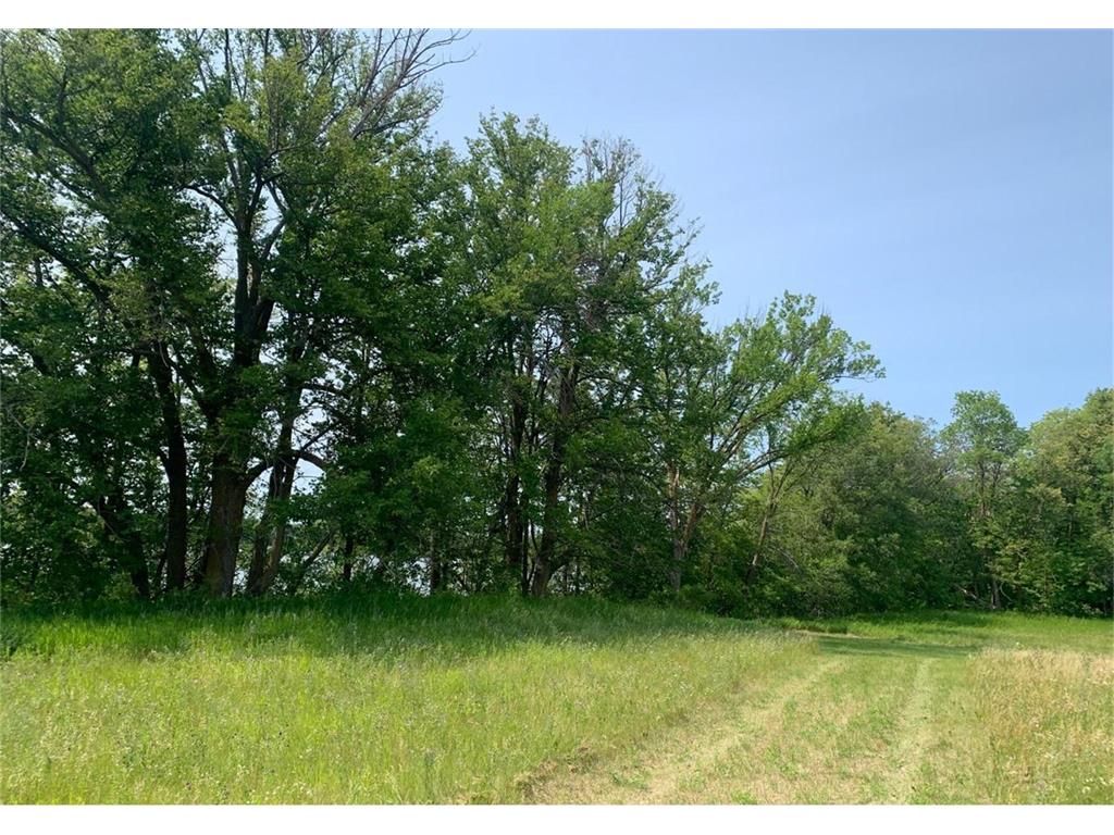 Lt 1 Wood Lake Drive SE Erskine MN 56535 - Braaten 6802914 image3