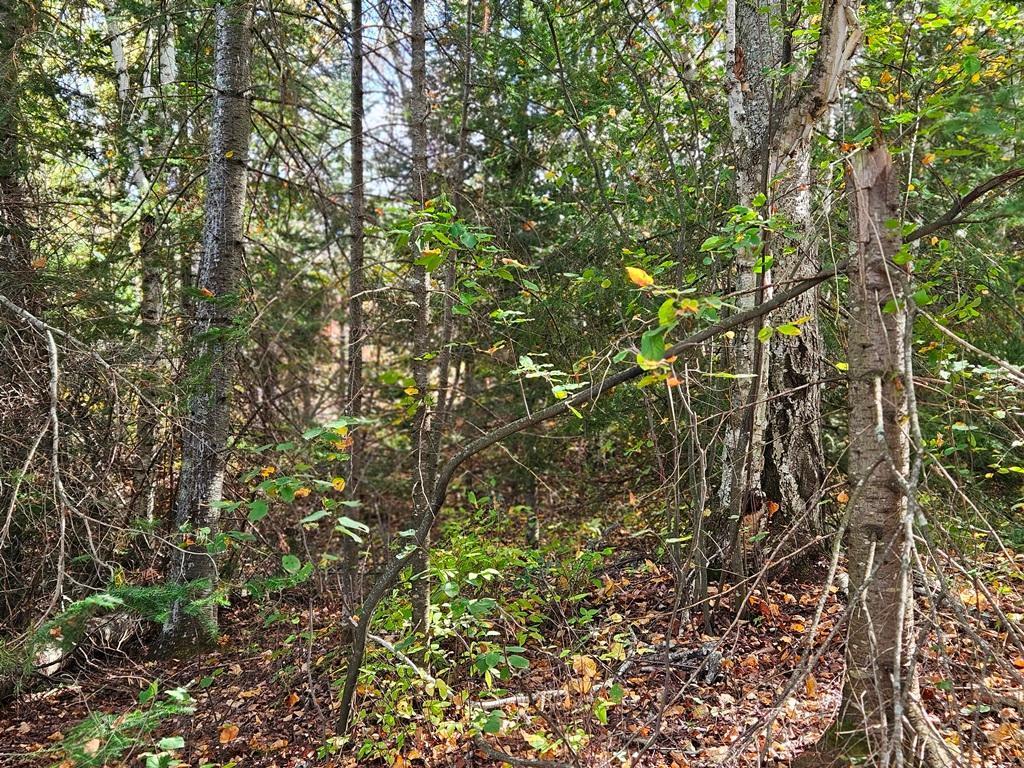 Lt 2 Blk 1 County Rd 238 Deer River MN 56636 - Little Moose Lake 6798217 image10