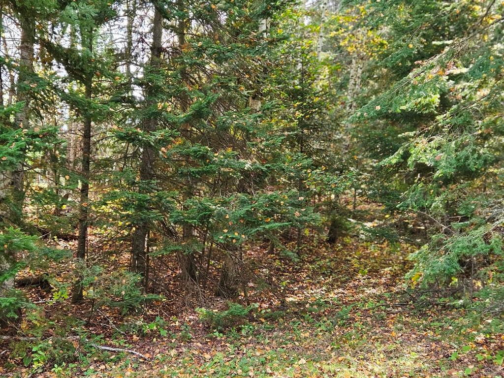 Lt 2 Blk 1 County Rd 238 Deer River MN 56636 - Little Moose Lake 6798217 image11