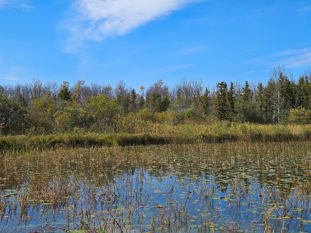 Lt 2 Blk 1 County Rd 238 Deer River MN 56636 - Little Moose Lake 6798217 image17