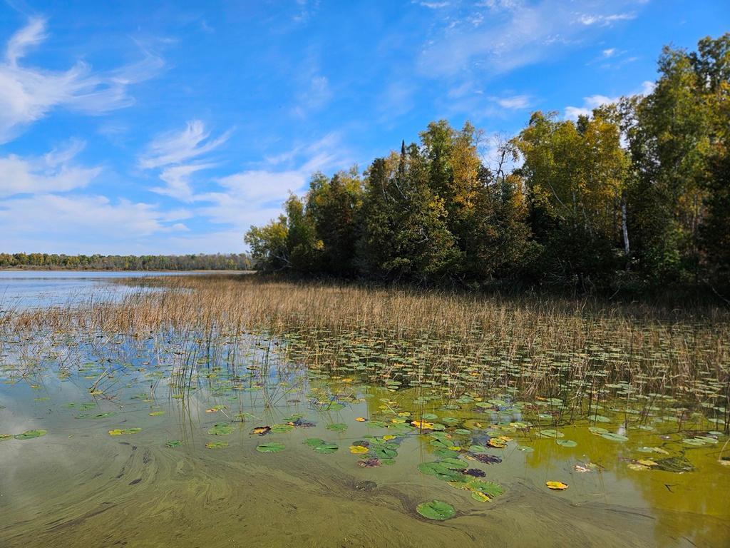 Lt 2 Blk 1 County Rd 238 Deer River MN 56636 - Little Moose Lake 6798217 image18