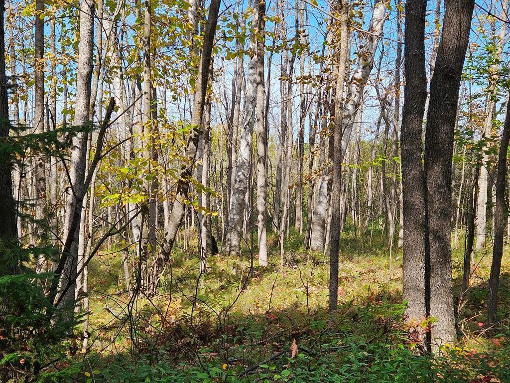 Lt 2 Blk 1 County Rd 238 Deer River MN 56636 - Little Moose Lake 6798217 image9